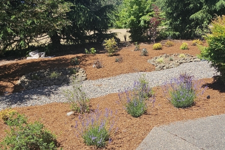 How to Plan a Landscape Design That Works With Douglas County Slopes Thumbnail