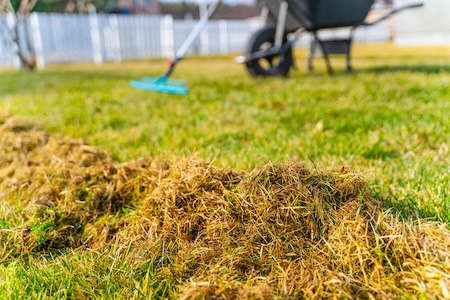Spring Yard Cleanup Checklist for Douglas County Homes