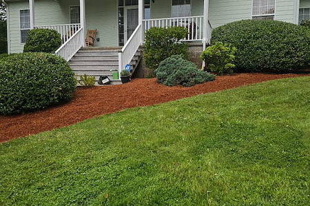 Weekly vs. Bi-Weekly Lawn Maintenance: What Works Best in Roseburg?